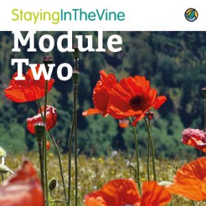 sitv-course-artwork-module2