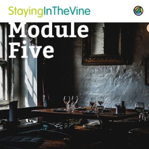 sitv-course-artwork-module5