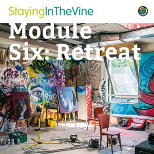 sitv-course-artwork-module6