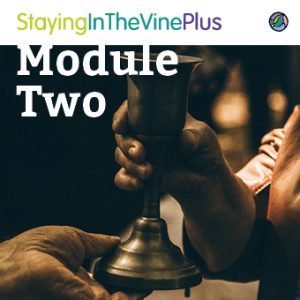 sitv2lus-course-artwork-module1