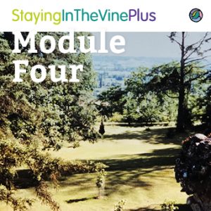 sitvplus-course-module4b